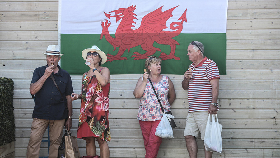 Water and ice cream at the Royal Welsh Show