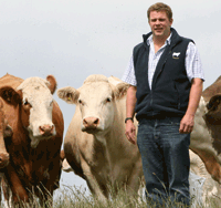 Asda Beeflink Producers Can Get Top Genetics From Charolais Bull 