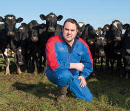 Calving in full swing for Tom Rawson - Farmers Weekly