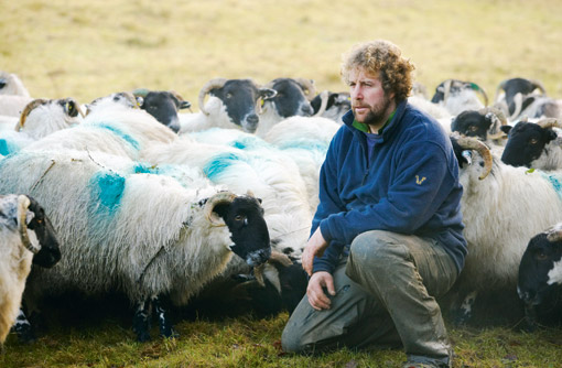 Lambing and calving in full swing for Mathew Cole - Farmers Weekly