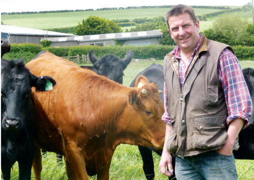 Respiratory disease not just a calf thing - Farmers Weekly