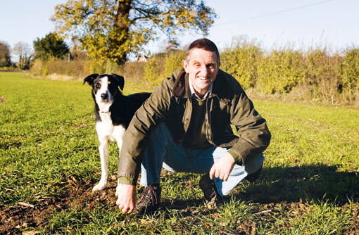 A day in the life of Simon Beddows' collie, Paddy - Farmers Weekly