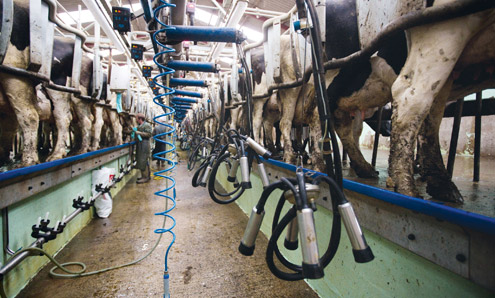 Dairy producer organisations - the principles explained - Farmers Weekly