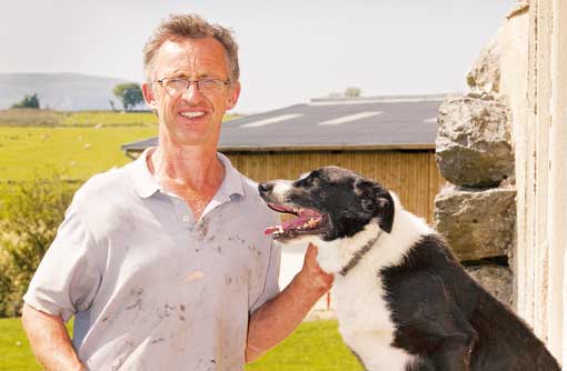 Welsh sheep farm looks to Stamp Out Lameness - Farmers Weekly