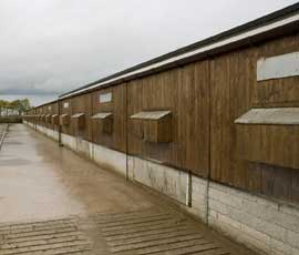 Overlong built poultry sheds sent back to planners 