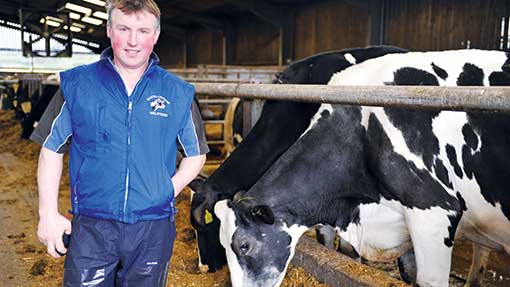 View PLI as 'long-term' dairy breeding tool - Farmers Weekly