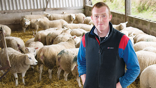 Cumbrian farmer assesses New Zealand sheep system for UK - Farmers Weekly