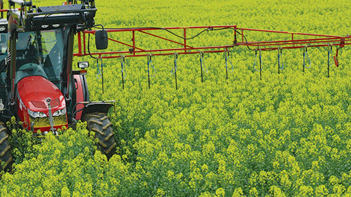 Bees benefit from new spraying technique - Farmers Weekly