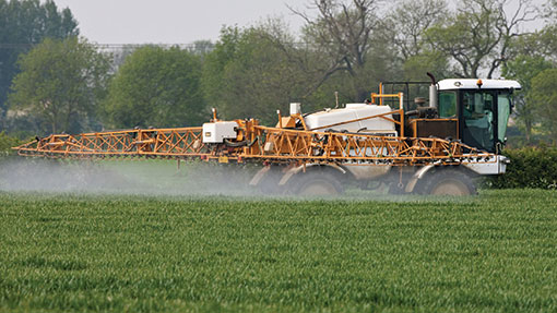 Septoria spread in the wet threatens wheat yields - Farmers Weekly