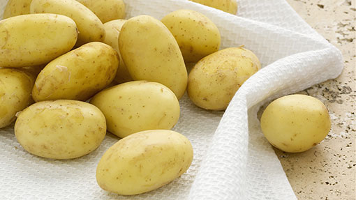 jersey royal potato company