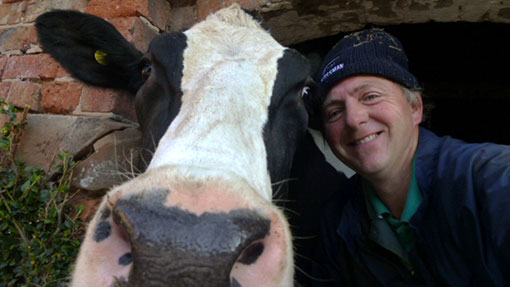 Focus on milk from forage increases margins at Cheshire dairy - Farmers ...