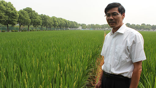 Demonstration farms help Chinese growers push yields - Farmers Weekly