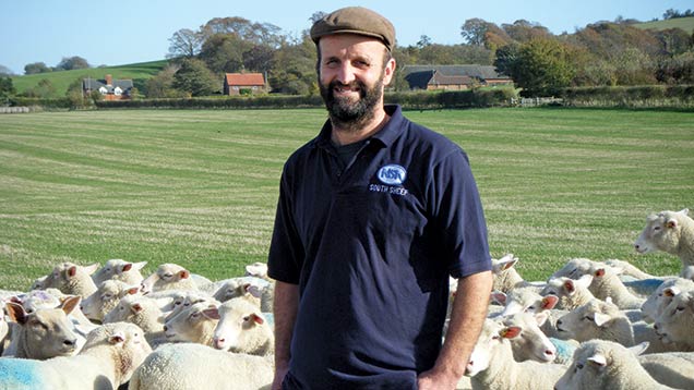 Sheep AI secures early Easter lamb market for Oxford farm - Farmers Weekly