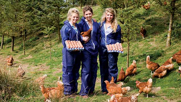 Three sisters from Glenrath Farms