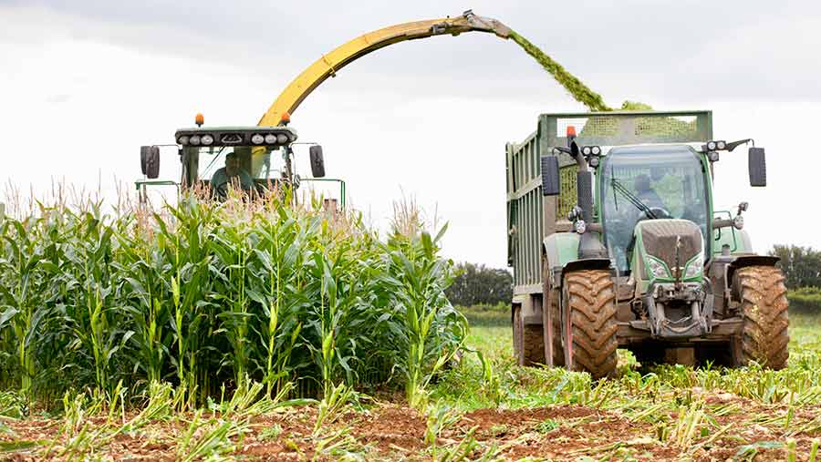 How The Scottish CAP Greening Rules Affect Your Livestock Farm 