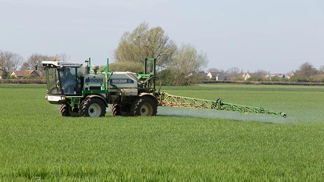 SDHI fungicide increases rooting in cereals and OSR - Farmers Weekly