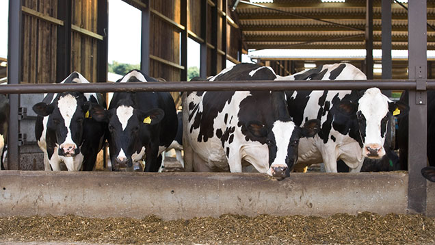 Milk market uncertainty as Global Dairy Trade sees slight rise ...