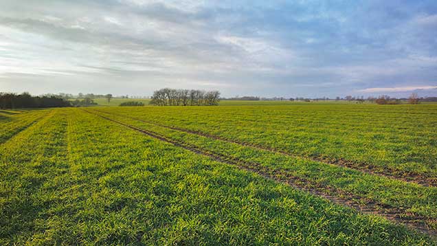 Arable land hits the market in Norfolk and Leicestershire 