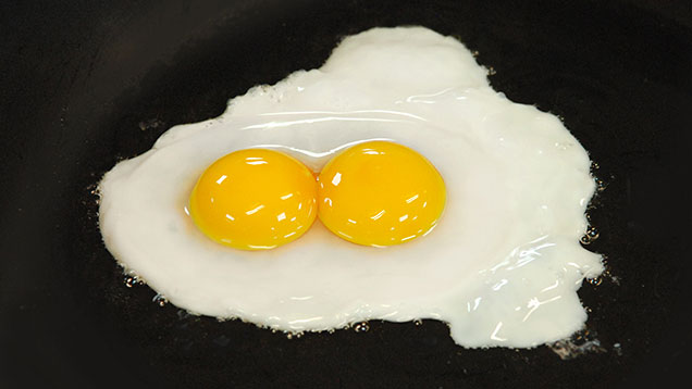 What our pullet egg looked like, then a double yolker from our