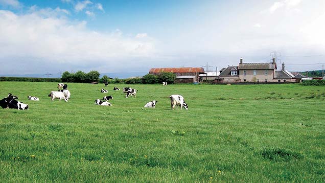 Dripps Farm is a 91-acre dairy farm in South Lanarkshire.