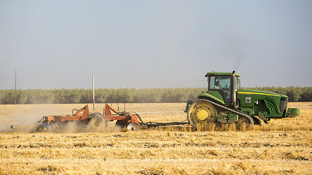 Farming in a dustbowl: How Californian growers cope - Farmers Weekly