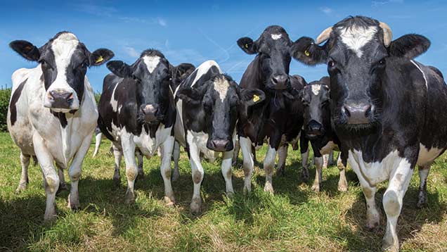 Global milk supply insights for post-quotas UK market - Farmers Weekly