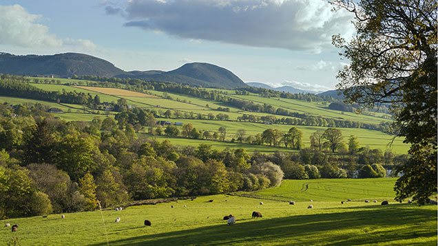 Farm Rent Prices Rise 3 In Scotland Farmers Weekly