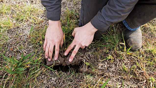 Cereals 2015: Farmers urged to consider carbon trading scheme - Farmers ...