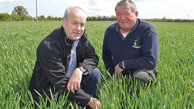 Seamus Shevlin (left) and Martin Hoste. 