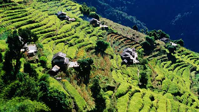 Terraces in Nepal before the earthquake ©Rex