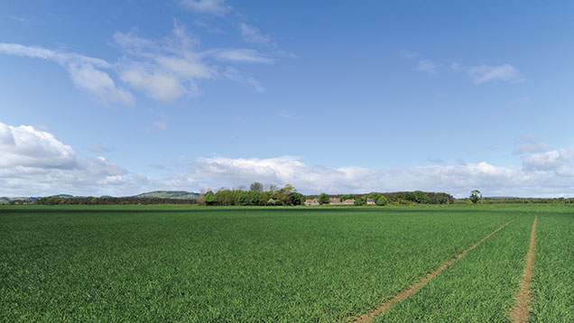 Cast Farm, Fife