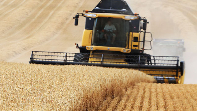 Barley harvest France ©GUTNER-SIPA-REX