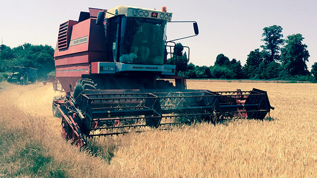 Berkshire farmer Colin Rayner has started harvesting Cassia barley