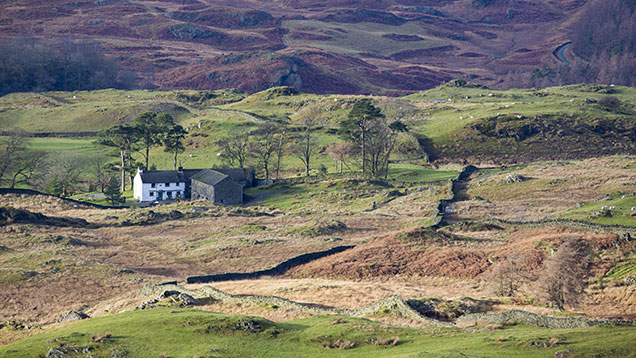 © Global Warming Images /REX