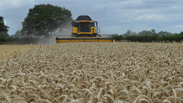 RBI copyright - one of David Jones's (arable desk) pics