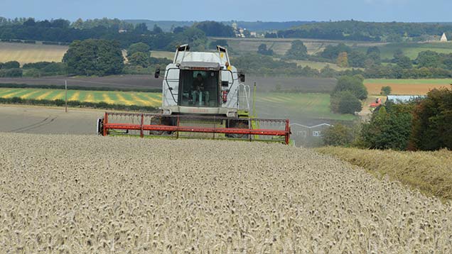 Harvesting wheat at Malcolm and Rodney Foster's farm in North Yorkshire.