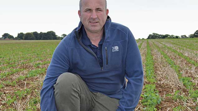 Split trial examines inputs to improve rapeseed yields - Farmers Weekly