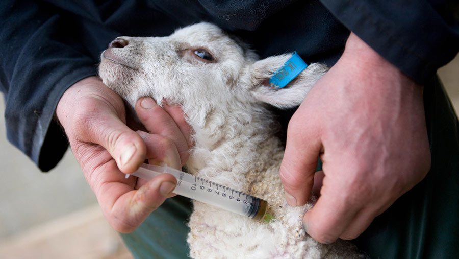Huge threat' posed by farm antibiotics to human health - Farmers Weekly