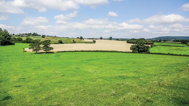 Land at Shirenewton