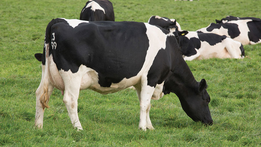 How a switch to Irish dairy genetics could improve fertility - Farmers ...