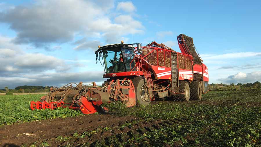 Grimme Rexor 630