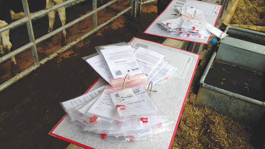 Individual tissue sample units is provided for testing
each calf.