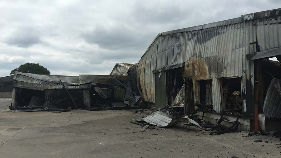 Kelly Turkeys ready for business after fire - Farmers Weekly