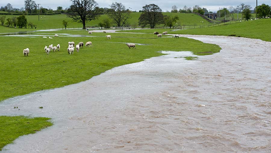 Take photos of flood damage to support claims, farmers told Farmers