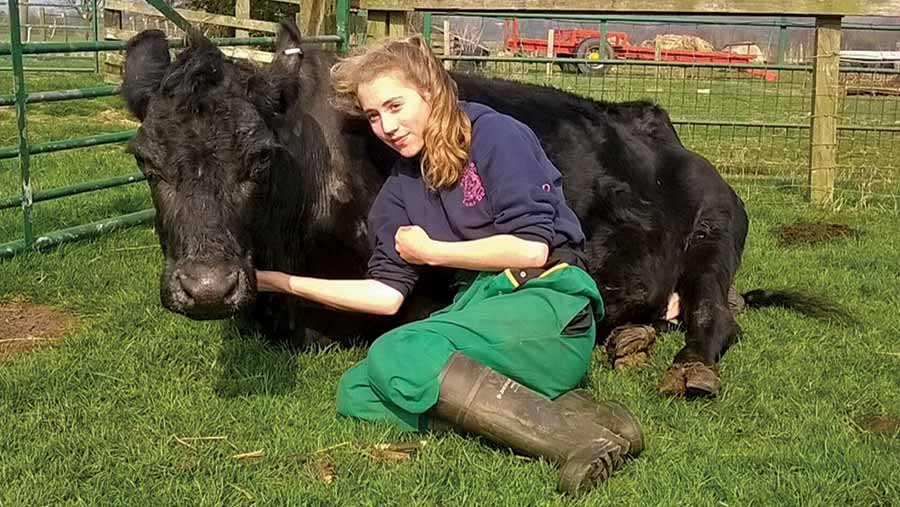 Emma Dods with Cow 1200