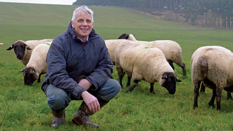 Farmer cuts costs by selecting lambs resilient to the cold - Farmers Weekly