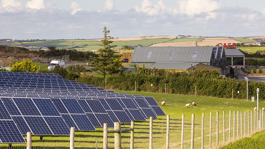 © Global Warming Images/Rex Shutterstock