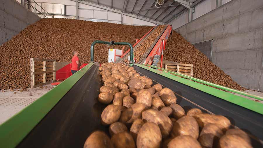 Storage upgrade essentials for potato growers - Farmers Weekly