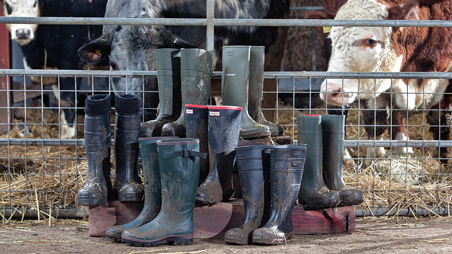 Farm welly boots on test - which is the 