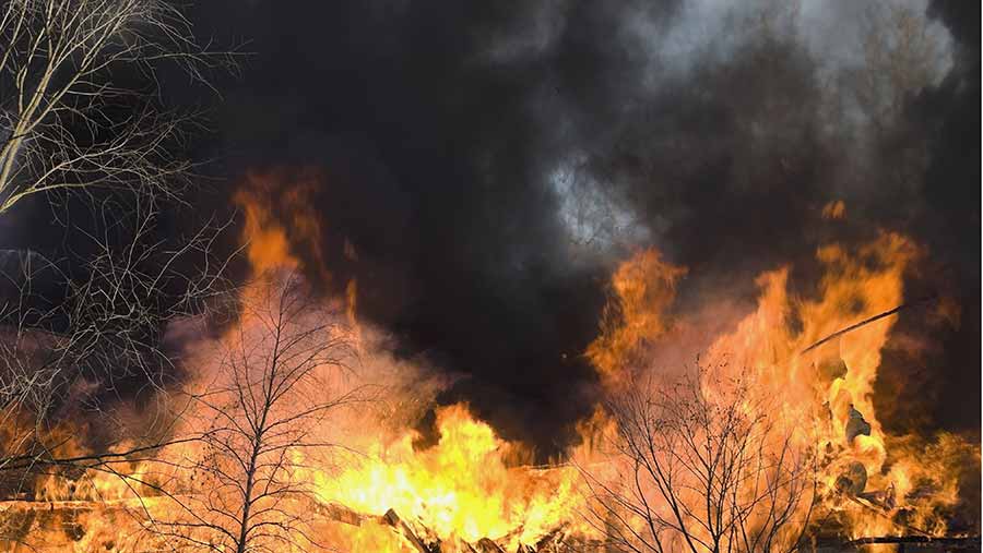 100 dairy cows die in 1m barn fire in Canada Farmers Weekly